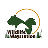 Wildlife Waystation